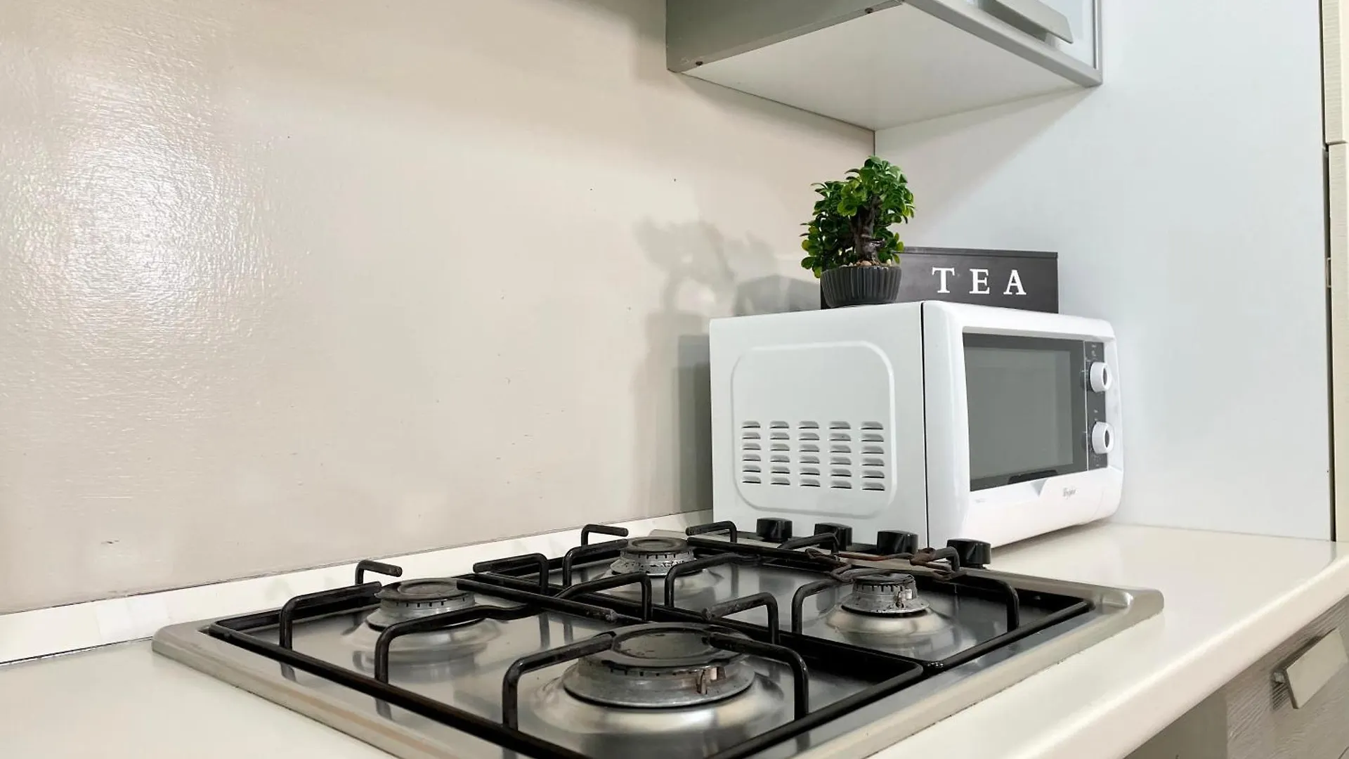 Apartment Vicina Al Mare Con Grande Giardino - Appartamento Tulipano Rimini Italy